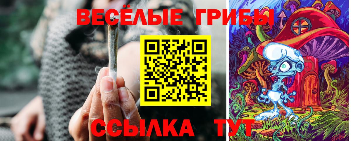 Псилоцибиновые грибы Psilocybine cubensis Рыбинск